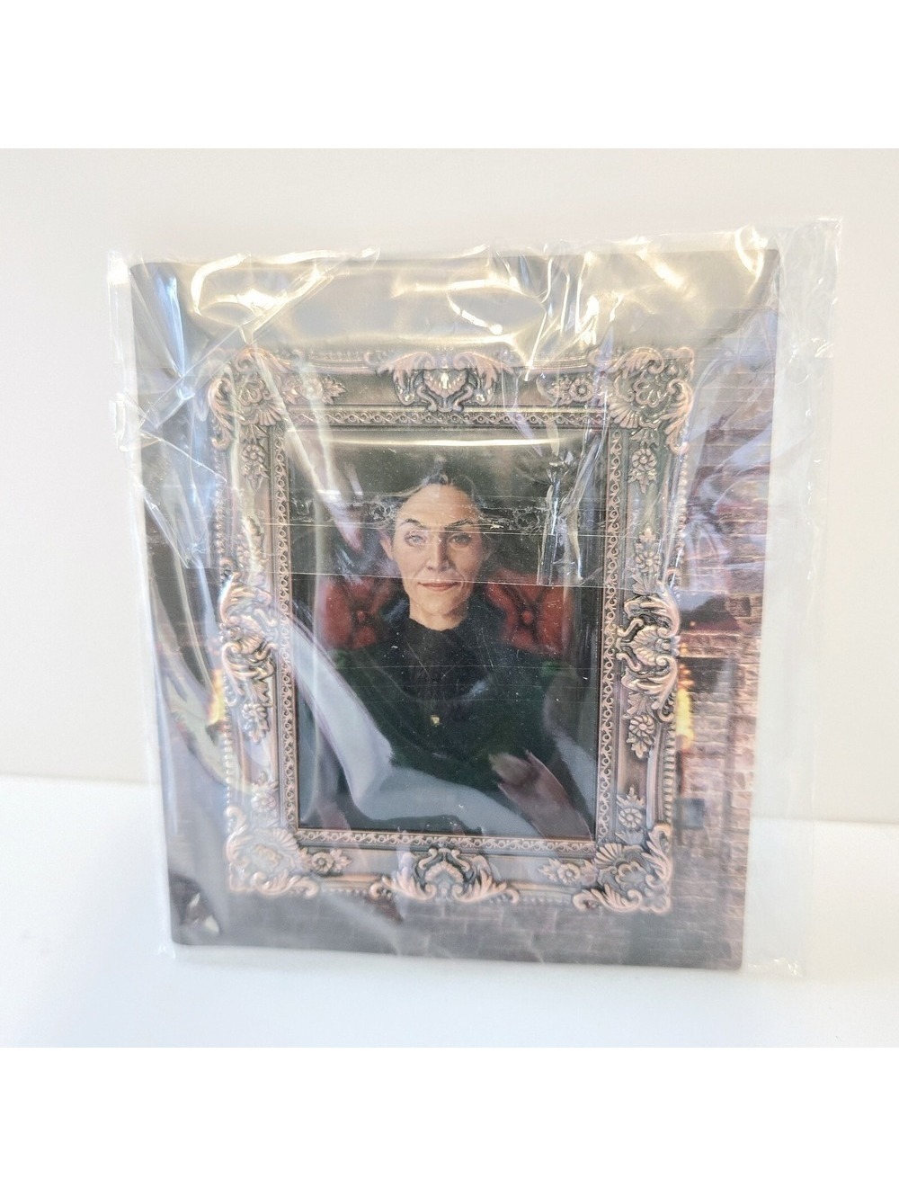 Harry Potter Wizarding Trunk Professor McGonagall Portrait Pin Metal Frame NIP